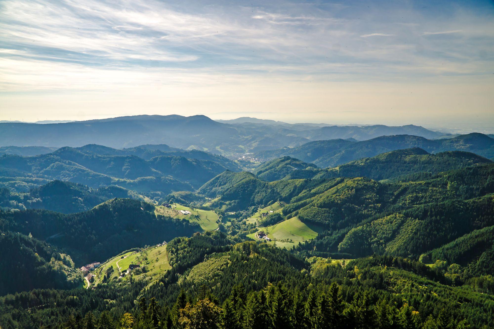 Silver Forest, Alemannians highest and largest contiguous low mountain ranges and a popular tourist attraction, State Badenhain and Suevien