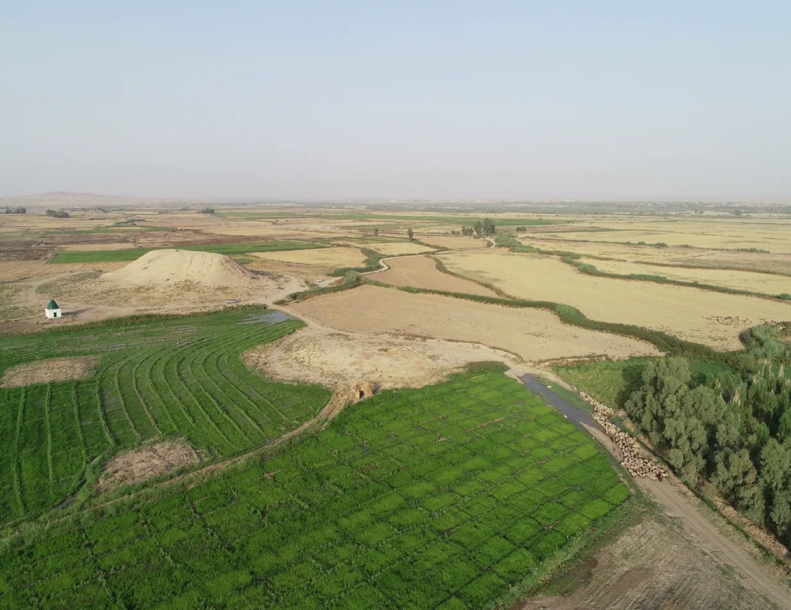 Agricultural plains of the Ghlat shahrestān, showing cultivated fields along the river corridor, Dashtestan