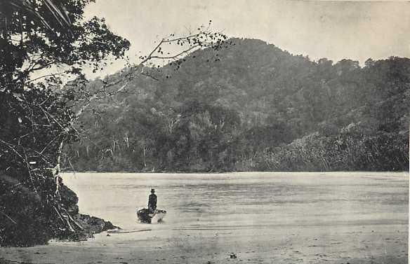Coast of Annasaari (1889)