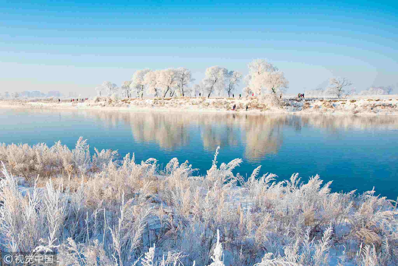 Rime ice (muhyō) on the Matsuhana Riverbank, Shikisen Prefecture