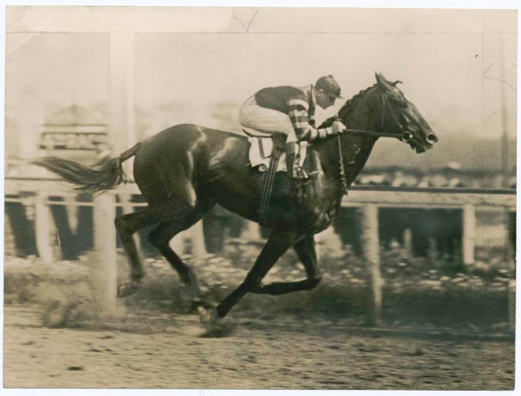 Kultatuuli and his jockey Markku Pottinen